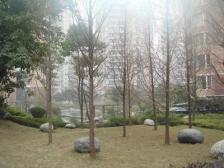 经开区 回龙湾小区二房65万