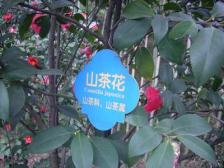 融侨 融侨云满庭C区三房130万