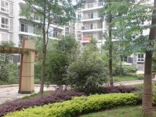 一碗水 金香林四房87万