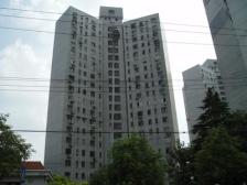 真如 · 真北三街坊 · 业主诚心出售,Z价低!可做两房!
