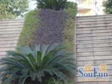 回兴 翠湖柳岸三房99万