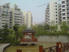 顶跃带露台使用空间大小洋楼近轻轨