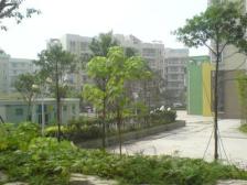 一碗水 金香林二房60万