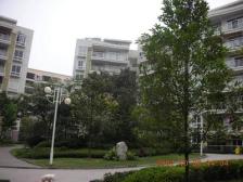 一碗水 金香林三房85万