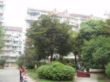 14号真新站百米内,中间楼层,双南两房,采光通风俱佳!