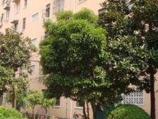 精装修一室户 出租3800+ 满五 看房有钥匙 业主还可以谈