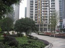 龙湖山前 5室2厅 东南