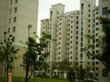 蓼花汀花园(公寓) 3室1厅 东南