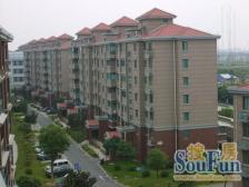 三林南|精装修采光足|视野开阔|小区安静|商品小区|看房随时