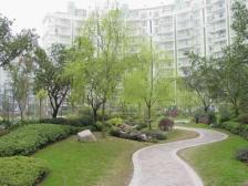 回龙湾 6室1厅 东南 南