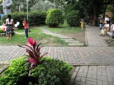 回龙湾 2室1厅 南