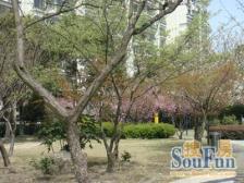 申立苑 3室2厅 南