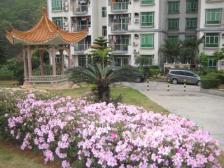 广深和谐号旁--雅翠花园景翠居--2房