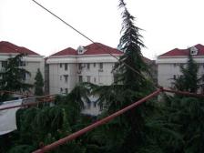 东边套,砸盘急售,91房龄,一梯两户,文艺别墅,独售