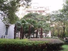 南北通透大两房,低楼层,精装修!