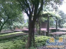 融侨 融侨云满庭B区三房