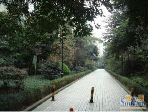 和睦人家三期 3室1厅 东北