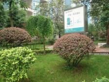 经开区 回龙湾小区二房85万