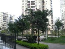 回龙湾 精装三房 拎包入住 随时看房 诚心出售