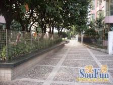 龙图花园 2室1厅 南