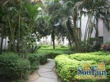 龙图花园 3室2厅 东南