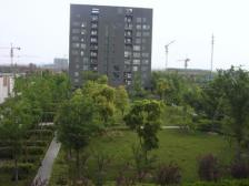 新浦江城(江桦路400弄) 3室2厅 南 北