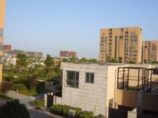 前滩南 洋房4楼带露台 230万装修一天未住 落地采光