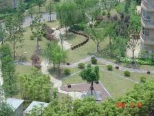 新上!顶楼复式。带产权车位。小区C位,