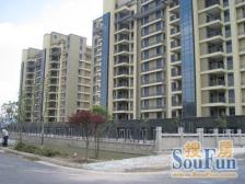 越湖名邸二期,纯毛坯,带两个大露台,楼栋位置很好。