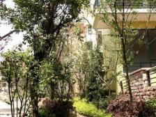 人和 金科天湖美镇三房