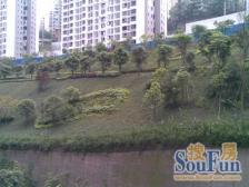 融侨金辉融侨半岛香弥山1号三房