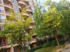 随时可看,楼层好,采光亮,卖掉不再有