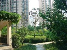 沿百年苏河 小区楼魁无与争锋 静待有缘人