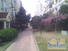 新上可用,中间楼幢中间层,户型好采光赞,诚心