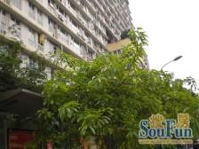 时代100 1室1厅 北