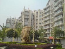 一碗水 金香林四房118万