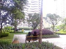 顶跃带露台精装修