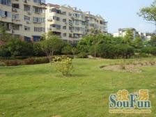 申良花园 1室1厅1卫 南北