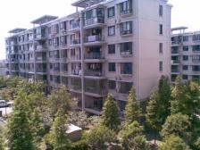 五号线 南北户型,落地窗,品质别墅小区