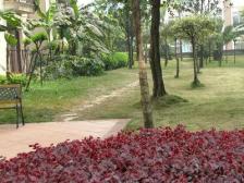 南坪商圈 骏逸蓝山 正规两房带书房 近永辉近轻轨