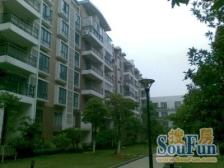 洋房 复式带院子 万达星城4房 精装全带 采光好