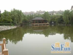 君临天下5室3厅南