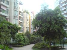 三层顶跃,有楼顶花园,视野全看湖,可拎包入住