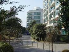 店长推荐好房,板式飞机户型,中区。不靠马路,诚意卖