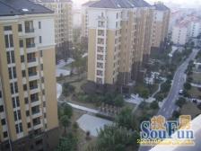 新上小复式 花园位置 直视陆家嘴三件套 复带阁楼