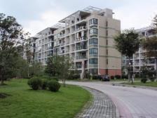 一楼大三房,飞机户型带大院子,交通便利