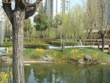 香梅五期高区在售一房,诚意出售,保养好,景观好