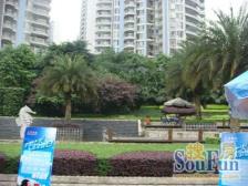 北滨路 金科金砂水岸三房205万