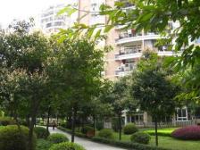 经开区 回龙湾小区二房97万