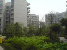 一碗水 金香林一房39.8万